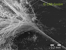 Aufspleißendes Faserbündel aus Amphibolasbest, Amosit | © CRB Analyse Service GmbH